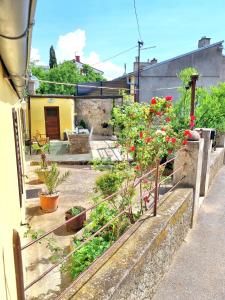 a garden with potted plants and flowers on a fence at House Lopica in Senj