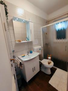 a bathroom with a toilet and a sink and a shower at Apartments Novigrad in Novigrad Istria