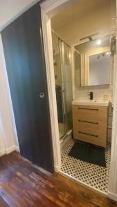 een badkamer met een douche, een wastafel en een spiegel bij Grand studio refait à neuf ! in Yerres