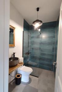 a bathroom with a toilet and a sink and a shower at Blue Home in Avrig