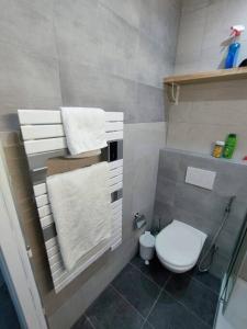 un piccolo bagno con servizi igienici bianchi e asciugamani di Petite maison avec jardin a Montluçon