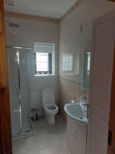 a bathroom with a toilet and a shower and a sink at Castle Chalets in Cork