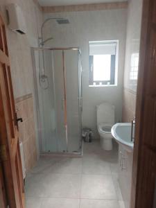 a bathroom with a shower and a toilet and a sink at Castle Chalets in Cork