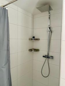 a bathroom with a shower with a shower head at Apartment Lindenstein in Fritzlar
