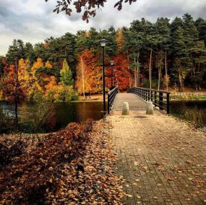 a bridge over a body of water with leaves on the ground at Przytulna kawalerka nad Jeziorem Długim darmowy parking i rowery in Olsztyn