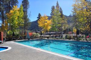 a swimming pool in a yard with trees at Olympic Village Inn Olympic Valley in Olympic Valley