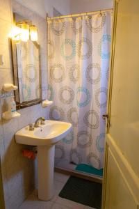 baño con lavabo y cortina de ducha en Casa San Rafael en San Rafael