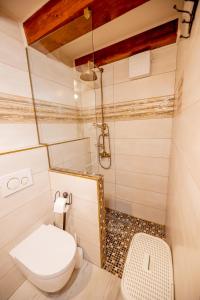 a bathroom with a toilet and a shower at Royal Suite Mia in Piran