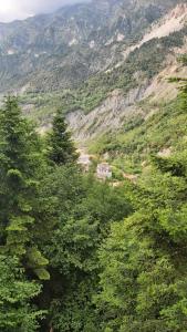 a view of a mountain with trees and a house at The log house in the village in Pramanta