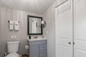 een badkamer met een toilet, een wastafel en een spiegel bij BeeKeeper's Inn - Beautifully Renovated 1929 Bungalow with 2 Bedrooms on Brick Street near Tampa's Attractions in Tampa +33 foto's