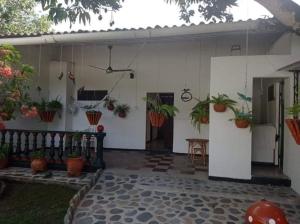 a house with potted plants on the wall at Missi in El Descanso