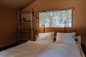 Fotografie z fotogalerie ubytování Sioglamping in Siocamping v Siofoku