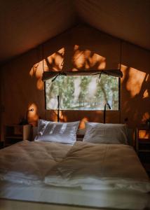 Sioglamping in Siocamping في سيوفوك: غرفة نوم بسرير كبير مع نافذة