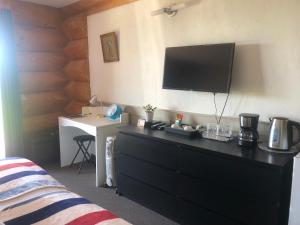 TV a/nebo společenská místnost v ubytování Cariboo Log Guest House