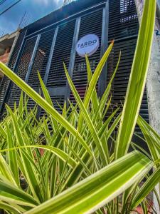Zahrada ubytování Fardo Hotel Boutique en Ibague - Zona G - Recepción Digital 24H