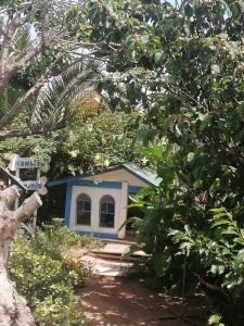 une petite maison au milieu d'un jardin dans l'établissement Tu Jardín Secreto, à La Serena