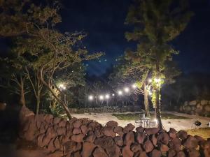 nachts ein Park mit Bäumen und Lichtern in der Unterkunft Soo Stay in Seogwipo