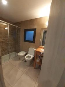 La salle de bains est pourvue de toilettes, d'un lavabo et d'une télévision. dans l'établissement Aire de Chapelco, à San Martín de los Andes
