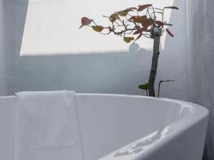 a plant in a white tub in a bathroom at Sukinab&b喜歡旅居曲巷冬晴 in Lugang