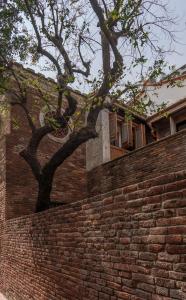 un mur en briques avec un arbre qui pousse au-dessus dans l'établissement Sukinab&b喜歡旅居曲巷冬晴, à Lukang