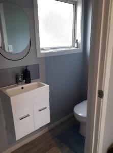 a bathroom with a sink and a toilet and a mirror at Rural Gordonton Sleepout in Hamilton