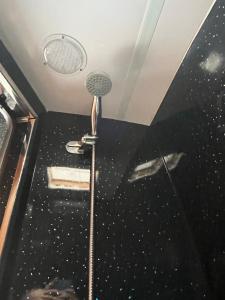a shower in a bathroom with a ceiling at Waterside campervan in Manchester