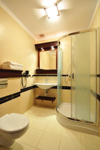 uma casa de banho com um chuveiro, um WC e um lavatório. em Apartamenty Continental em Krynica Morska