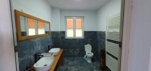 ein Badezimmer mit 2 WCs, einem Waschbecken und einem Spiegel in der Unterkunft La Văru in Cîrţişoara