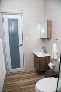 a bathroom with a toilet and a sink and a shower at private apartmento airport 7 minutes y de la playa in Carolina