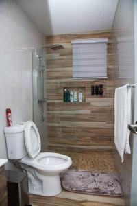 een badkamer met een douche en een toilet. bij private apartmento airport 7 minutes y de la playa in Carolina