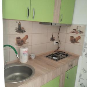 a kitchen counter with a sink and a stove at Căsuța Bunicilor in Dorna Cîndrenilor