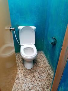 a bathroom with a toilet in a blue stall at Cozy House Hostel in Ella