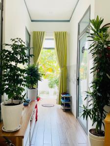 a hallway with potted plants and a large window at Leo's Homestay Phan Rang in Phan Rang