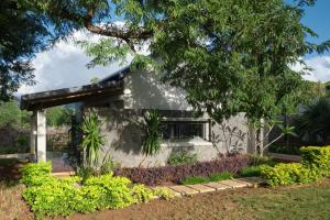 a house in a garden with a tree at Peaceful Tree Cottage in Tamarin
