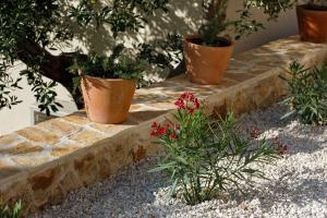 a group of potted plants sitting on a stone steps at Villa Vito in Hvar