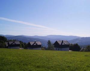 a group of houses on top of a green field at Domki Blisko Nieba III in Wisła