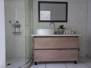 La salle de bains est pourvue d'un lavabo et d'une douche. dans l'établissement Lemon Tree Manor- Country Cottage, à Groblersdal