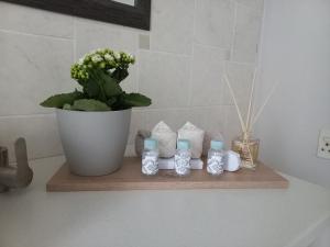 a bathroom counter with a plant and bottles on a shelf at Lemon Tree Manor- Country Cottage in Groblersdal