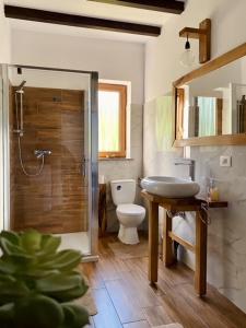 a bathroom with a toilet and a sink and a shower at Cabana Bogdi in Borşa