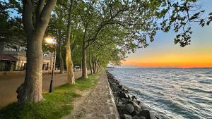 a sidewalk next to a body of water with trees at Mistral Helka Apartman in Balatonföldvár