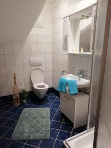 bagno con servizi igienici, lavandino e specchio di Ferienwohnung Hinterschwarzenberg a Brixlegg