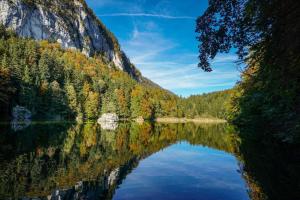 un lago in mezzo a una foresta di Ferienwohnung Hinterschwarzenberg a Brixlegg