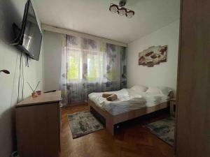 una piccola camera con letto e televisore di Apartament zonă centrală Punctele cardinale -Take Ionescu Timișoara a Timişoara