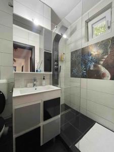 bagno con lavandino e specchio di Apartament zonă centrală Punctele cardinale -Take Ionescu Timișoara a Timişoara