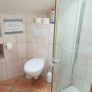 a small bathroom with a toilet and a shower at Ferienhaus Rhönspaß in Mosbach