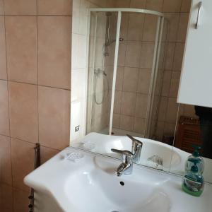 ein Waschbecken mit einem Spiegel und einer Dusche in der Unterkunft Ferienhaus Rhönspaß in Mosbach