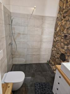 een badkamer met een douche, een toilet en een wastafel bij Sobe Lotrist in Radovljica