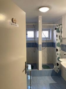 a bathroom with a shower and a sink at Kamila - ubytování v Krkonoších in Dolni Dvur