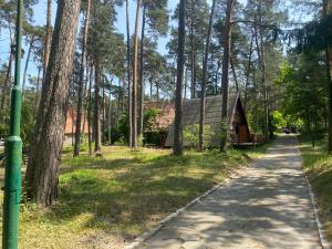 un camino que conduce a una cabaña en el bosque en Domki Pod Sosnami, en Stegna