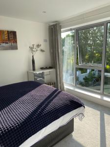a bedroom with a bed and a large window at SUMMERPLACE in Padstow